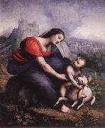 Cesare da Sesto Madonna and Child with the Lamb of God oil painting